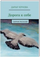 Дорога домой. Сборник рассказов