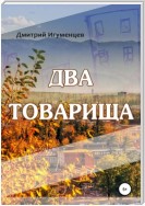 Два товарища