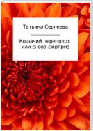 Кошачий переполох, или Снова сюрприз