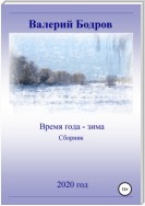 Время года – зима. Сборник