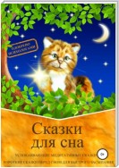 Сказки для сна. Успокаивающие медитативные сказки на ночь. Короткие сказки перед сном для быстрого засыпания. Сказкотерапия