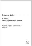 Камень. Биографический роман. Книга 1. Первые шаги к свету и обратно