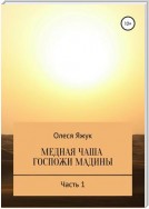 Медная чаша госпожи Мадины. Часть 1