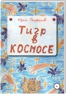 «Тигр» в космосе