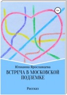 Встреча в Московской подземке