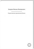 Рождественские приключения Пульки