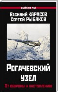 Рогачевский узел. От обороны к наступлению