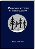 Маленькие истории из жизни ёжиков