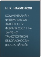 Комментарий к Федеральному закону от 9 февраля 2007 г. № 16-ФЗ «О транспортной безопасности» (постатейный)