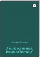 А волк все не шёл. Из цикла «Волчица»