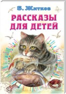 Рассказы для детей