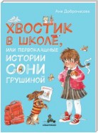 Хвостик в школе, или Первоклашные истории Сони Грушиной