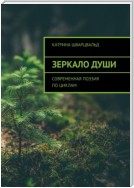 Зеркало души. Современная поэзия по циклам