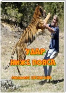 Удар ниже пояса. Повесть