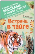 Встречи в тайге. С вопросами и ответами для почемучек