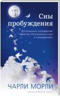 Сны пробуждения. Осознанные сновидения и метод «Осознанного сна и сновидений»