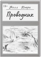 Проводник