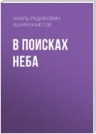 В поисках Неба