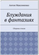 Блуждания в фантазиях. Сборник стихов