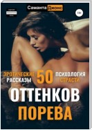 Эротические рассказы. 50 оттенков похоти. Психология страсти