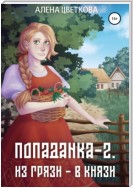 Попаданка-2. Из грязи – в князи