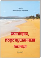 Мантры, подслушанные Тинкл. Книга 1