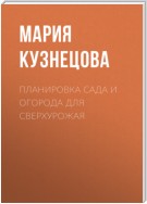 Планировка сада и огорода для сверхурожая