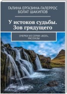 У истоков судьбы. Зов грядущего. Очерки из серии «ЖЗЛ», рассказы