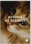 Котенок из подвала