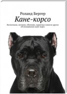 Кане-корсо. Воспитание, питание, обучение, характер и многое другое об итальянских кане-корсо