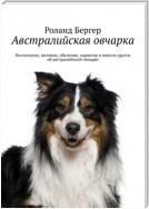 Австралийская овчарка. Воспитание, питание, обучение, характер и многое другое об австралийской овчарке