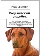 Родезийский риджбек. Воспитание, питание, обучение, характер и многое другое о породе родезийский риджбек