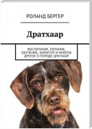 Дратхаар. Воспитание, питание, обучение, характер и многое другое о породе дратхаар