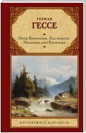 Петер Каменцинд. Под колесом. Последнее лето Клингзора. Душа ребенка. Клейн и Вагнер