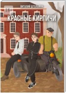 Красные кирпичи