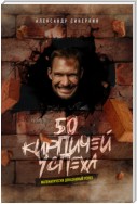 50 кирпичей успеха