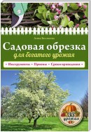 Садовая обрезка для богатого урожая