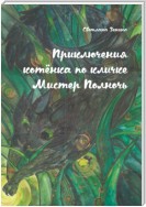 Приключения котёнка по кличке Мистер Полночь