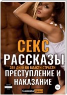 365 дней. Во власти доминантов. XXX истории из жизни