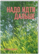 Надо идти дальше. Путевые заметки