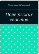 Поле рыжих хвостов