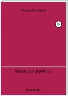 Однажды в деревне…