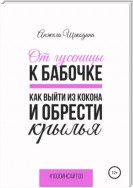 От гусеницы к бабочке. Как выйти из кокона и обрести крылья