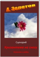 Сценарий «Хризантема на снегу». Новелла о любви