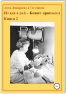 Из ада в рай – Божий промысел. Книга 2