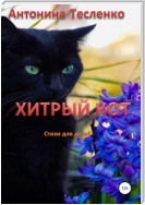 Хитрый кот