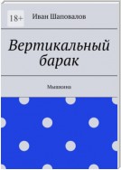 Вертикальный барак. Мышкина