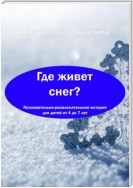 Где живет снег?