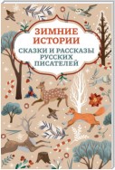 Зимние истории. Сказки и рассказы русских писателей