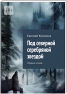 Под северной серебряной звездой. Сборник стихов